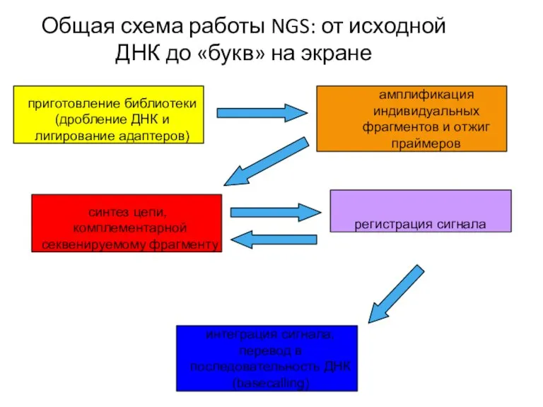 Общая схема работы NGS: от исходной ДНК до «букв» на экране приготовление