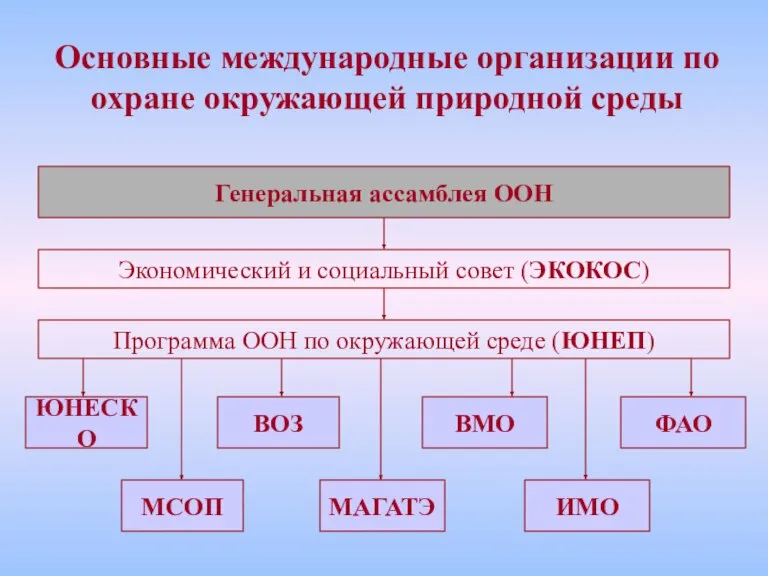 Основные международные организации по охране окружающей природной среды Генеральная ассамблея ООН Экономический