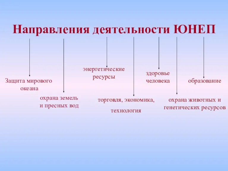 Направления деятельности ЮНЕП здоровье человека охрана животных и генетических ресурсов энергетические ресурсы