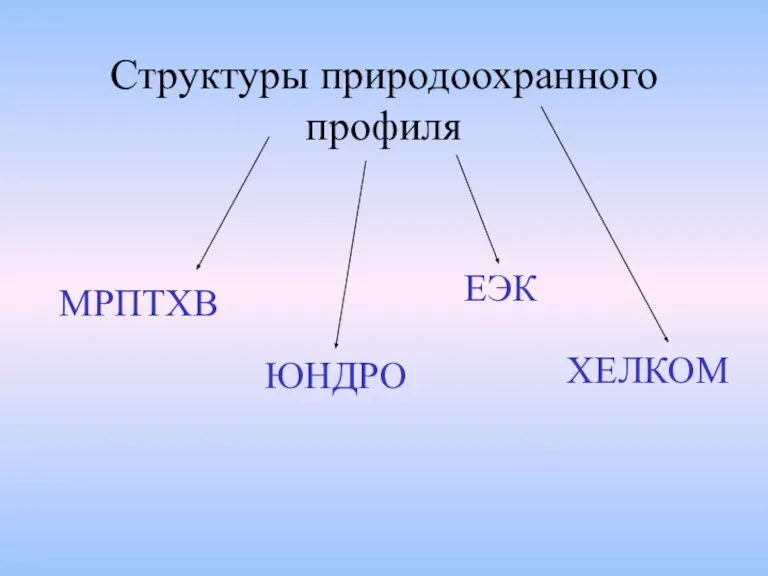 Структуры природоохранного профиля МРПТХВ ЮНДРО ЕЭК ХЕЛКОМ