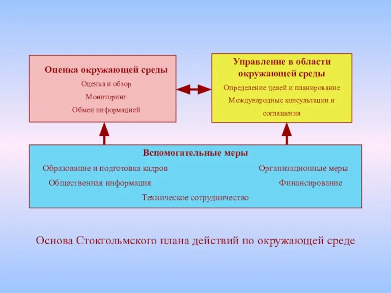 Оценка окружающей среды Оценка и обзор Мониторинг Обмен информацией Управление в области