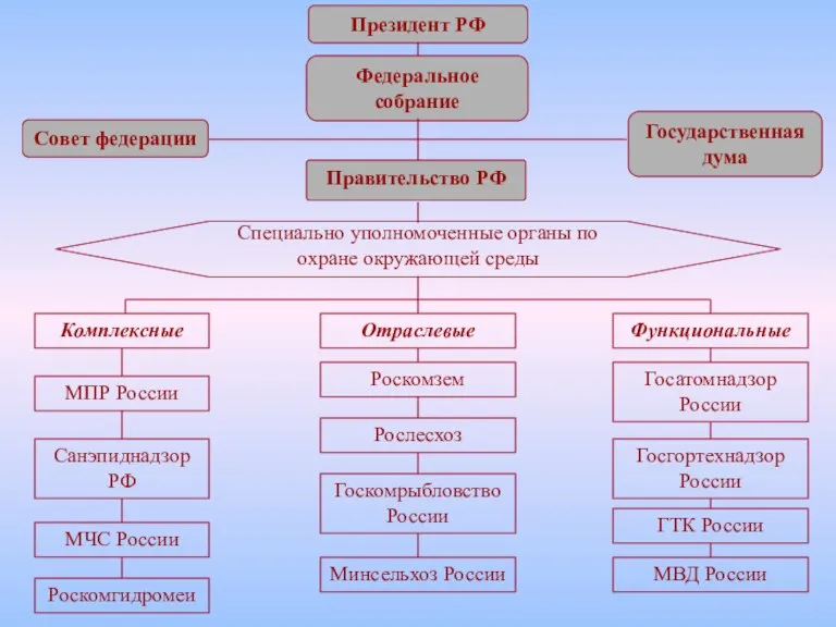 Президент РФ Федеральное собрание Правительство РФ Специально уполномоченные органы по охране окружающей