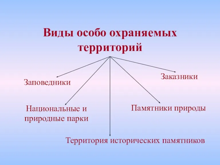 Виды особо охраняемых территорий Заповедники Заказники Национальные и природные парки Памятники природы Территория исторических памятников