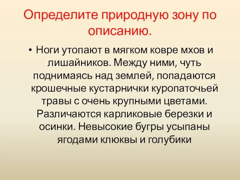 Определите природную зону по описанию. Ноги утопают в мягком ковре мхов и