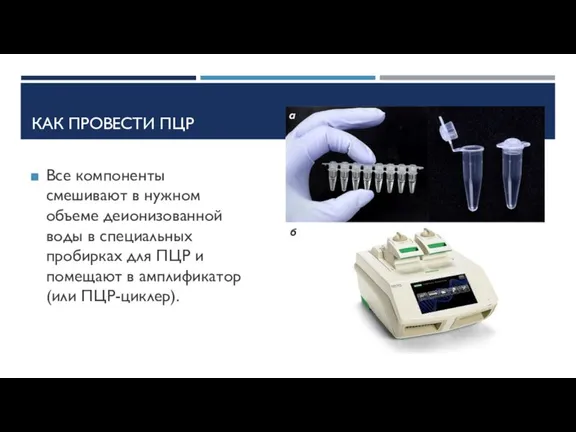 КАК ПРОВЕСТИ ПЦР Все компоненты смешивают в нужном объеме деионизованной воды в