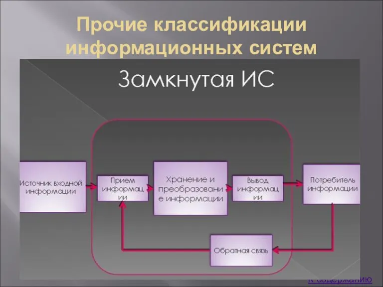 Прочие классификации информационных систем К содержанию