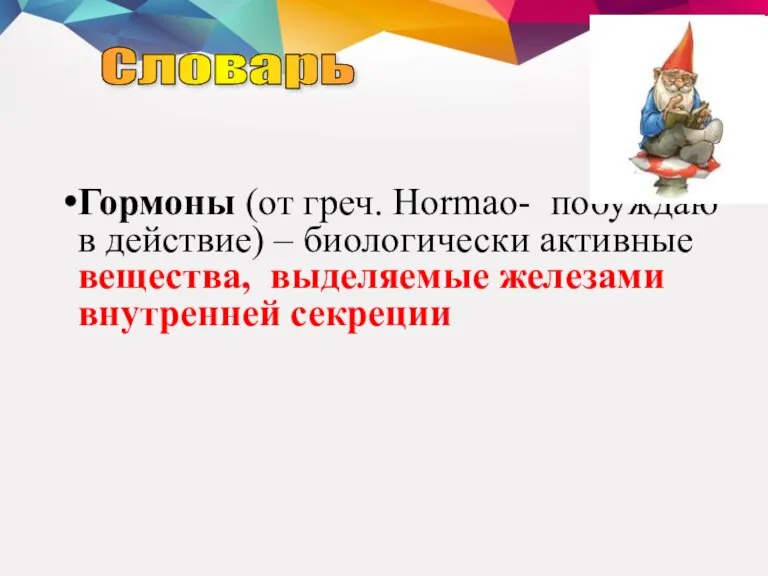 Гормоны (от греч. Hormao- побуждаю в действие) – биологически активные вещества, выделяемые железами внутренней секреции Словарь