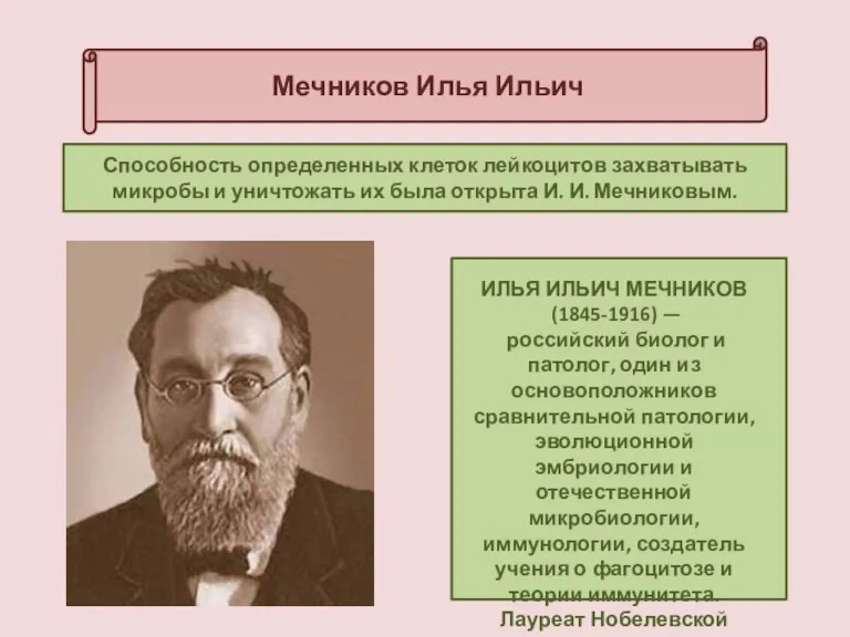 Мечников Илья Ильич Способность определенных клеток лейкоцитов захватывать микробы и уничтожать их