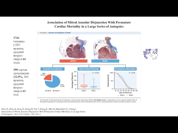 Association of Mitral Annular Disjunction With Premature Cardiac Mortality in a Large