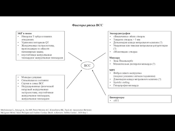 Факторы риска ВСС Muthukumar L, Jahangir A, Jan MF, Perez Moreno AC,