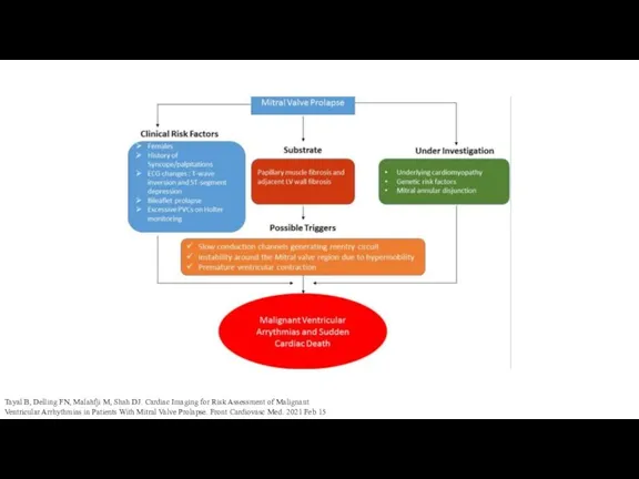 Tayal B, Delling FN, Malahfji M, Shah DJ. Cardiac Imaging for Risk