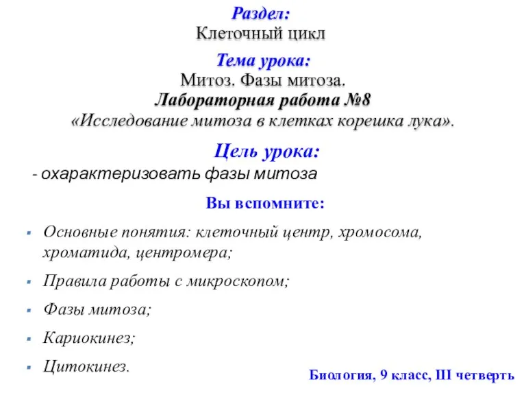 Тема урока: Митоз. Фазы митоза. Лабораторная работа №8 «Исследование митоза в клетках