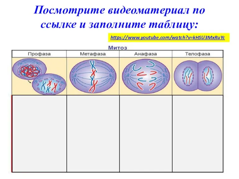 Посмотрите видеоматериал по ссылке и заполните таблицу: https://www.youtube.com/watch?v=kHSU3MxRuYc