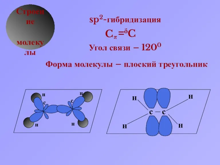 δ Строение молекулы sp2-гибридизация Угол связи – 1200 Форма молекулы – плоский треугольник C π C