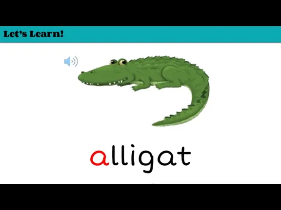 Let’s Learn! alligator