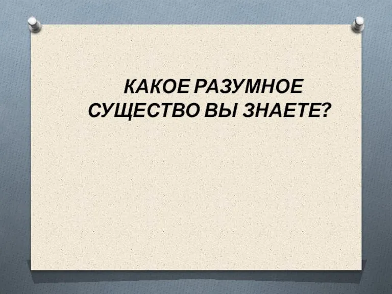 КАКОЕ РАЗУМНОЕ СУЩЕСТВО ВЫ ЗНАЕТЕ?