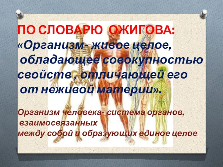 ПО СЛОВАРЮ ОЖИГОВА: «Организм- живое целое, обладающее совокупностью свойств , отличающей его