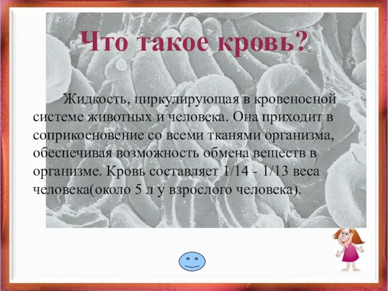 Что такое кровь? Жидкость, циркулирующая в кровеносной системе животных и человека. Она