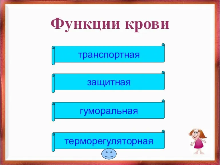 Функции крови транспортная защитная гуморальная терморегуляторная