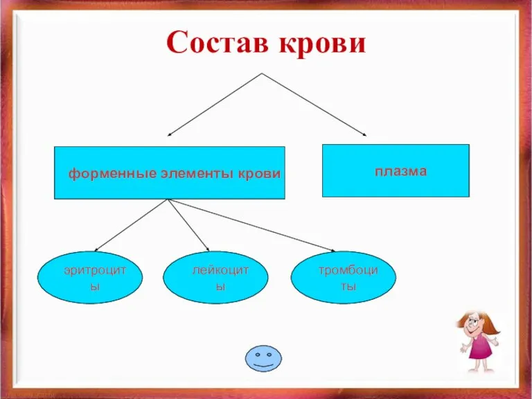 Состав крови плазма форменные элементы крови эритроциты лейкоциты тромбоциты