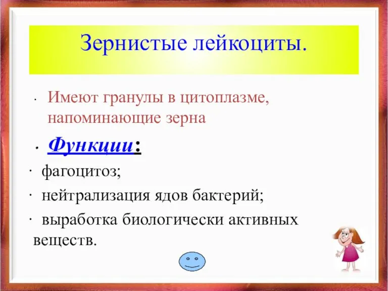 Зернистые лейкоциты. Имеют гранулы в цитоплазме, напоминающие зерна Функции: фагоцитоз; нейтрализация ядов