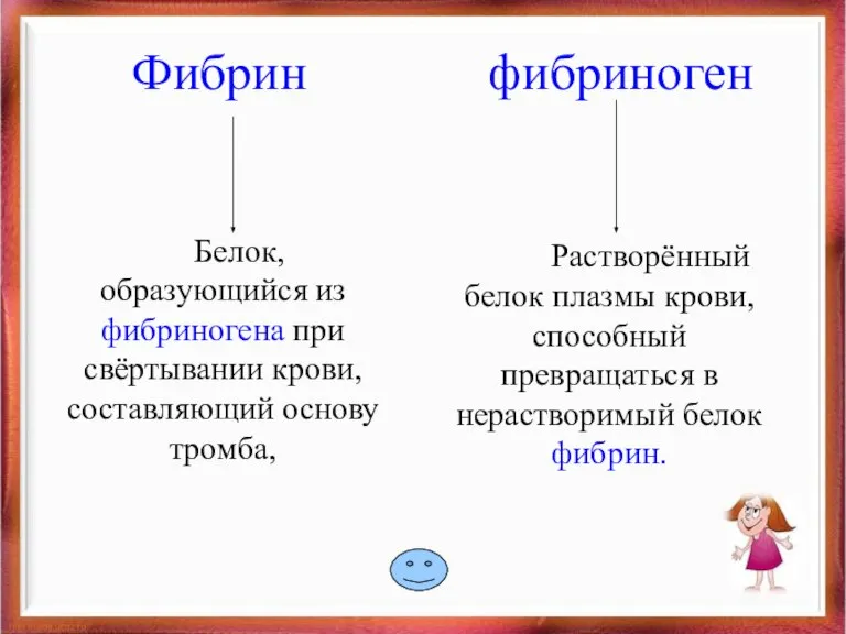 Фибрин фибриноген Белок, образующийся из фибриногена при свёртывании крови, составляющий основу тромба,