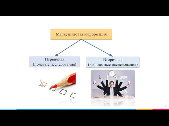 Маркетинговая информация Вторичная (кабинетные исследования) Первичная (полевые исследования)