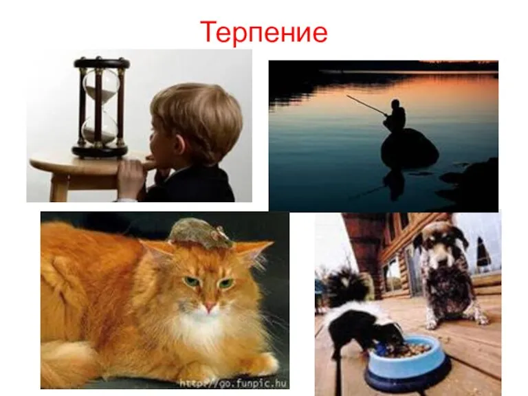 Терпение