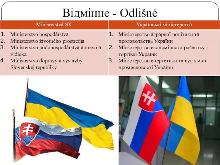 Відмінне - Odlišné