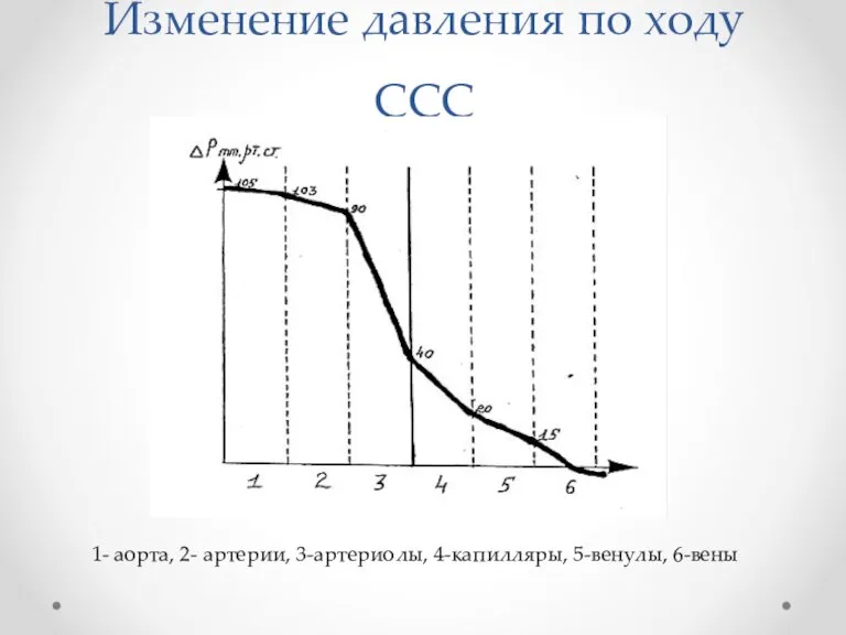 Изменение давления по ходу ССС 1- аорта, 2- артерии, 3-артериолы, 4-капилляры, 5-венулы, 6-вены