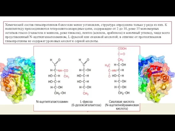 Химический состав гликопротеинов более или менее установлен, структура определена только у ряда