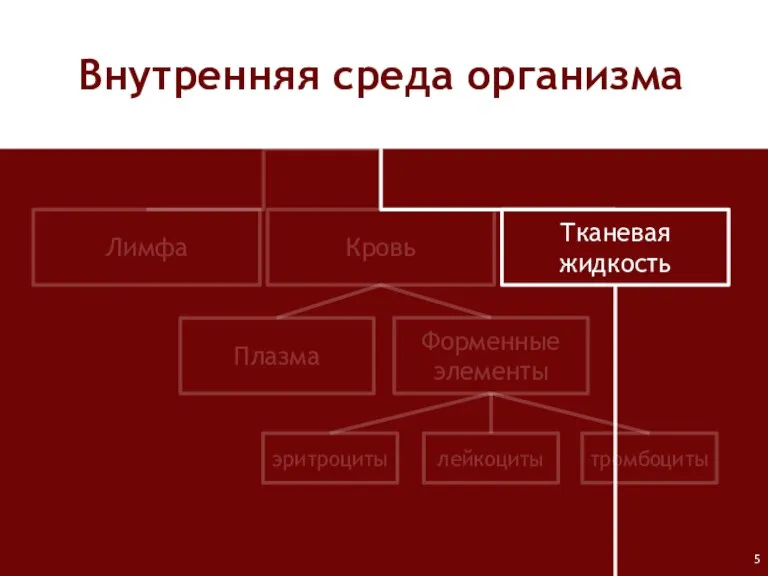 Лимфа Кровь Тканевая жидкость Плазма Форменные элементы лейкоциты тромбоциты эритроциты Внутренняя среда организма