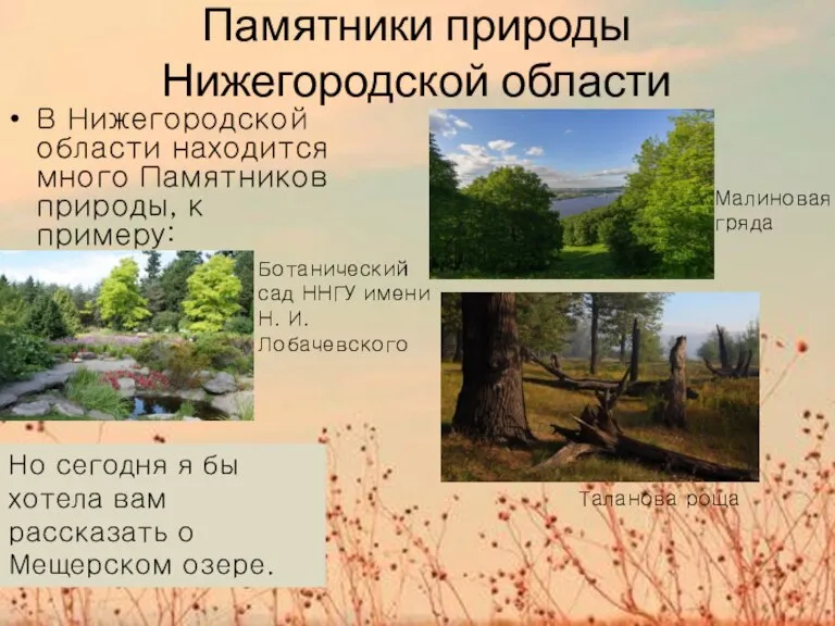 Памятники природы Нижегородской области В Нижегородской области находится много Памятников природы, к