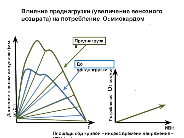 Влияние преднагрузки (увеличение венозного возврата) на потребление О2 миокардом Давление в левом