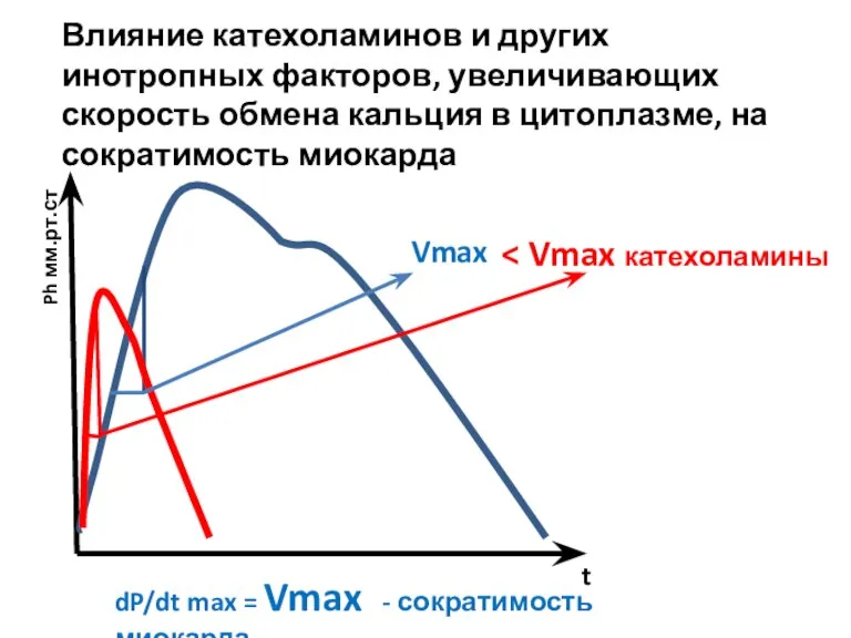 Vmax Ph мм.рт.ст t dP/dt max = Vmax - сократимость миокарда Влияние