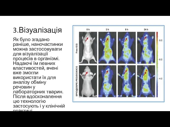 3.Візуалізація Як було згадано раніше, наночастинки можна застосовувати для візуалізації процесів в