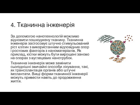 4. Тканинна інженерія За допомогою нанотехнологій можливо відновити пошкоджену тканину. Тканинна інженерія