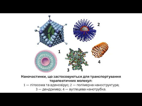 Наночастинки, що застосовуються для транспортування терапевтичних молекул: 1 — ліпосома та аденовірус;
