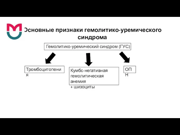 Гемолитико-уремический синдром (ГУС) Кумбс-негативная гемолитическая анемия + шизоциты Тромбоцитопения ОПН Основные признаки гемолитико-уремического синдрома