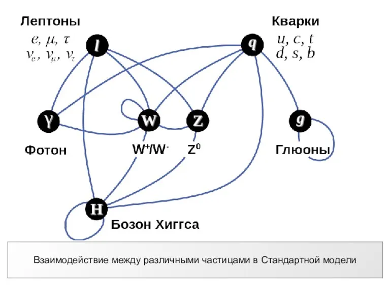 Взаимодействие между различными частицами в Стандартной модели