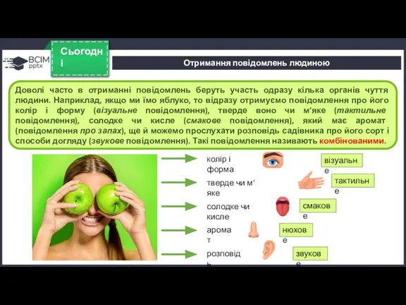 Сьогодні Доволі часто в отриманні повідомлень беруть участь одразу кілька органів чуття