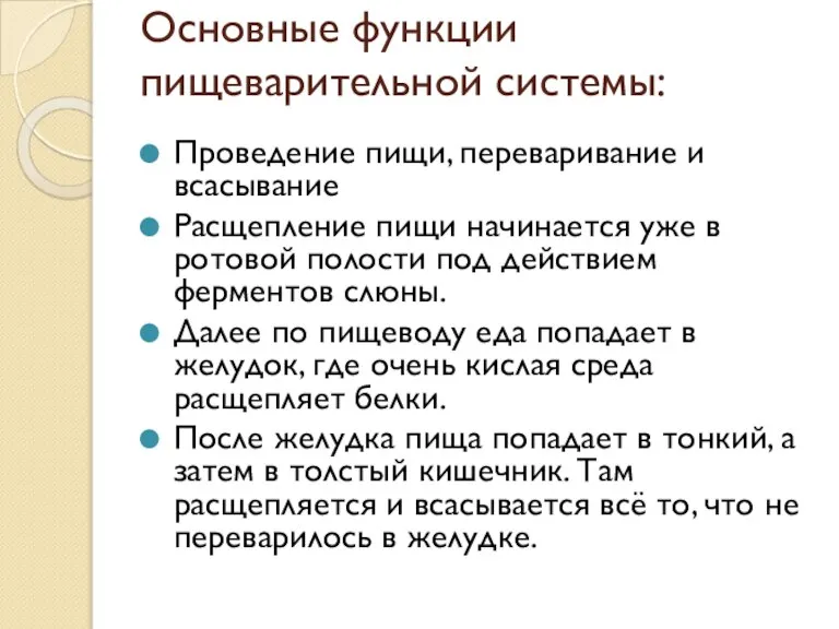 Основные функции пищеварительной системы: Проведение пищи, переваривание и всасывание Расщепление пищи начинается