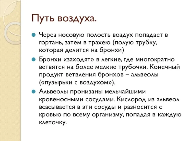 Путь воздуха. Через носовую полость воздух попадает в гортань, затем в трахею