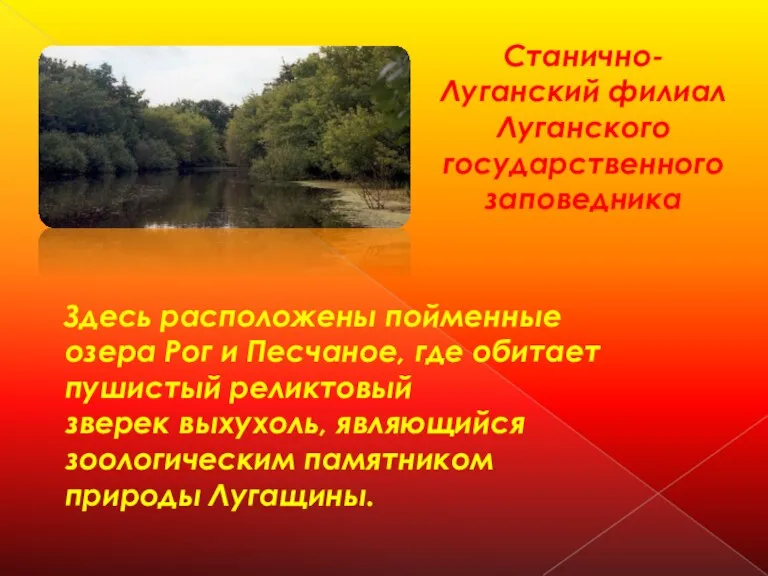 Станично-Луганский филиал Луганского государственного заповедника Здесь расположены пойменные озера Рог и Песчаное,