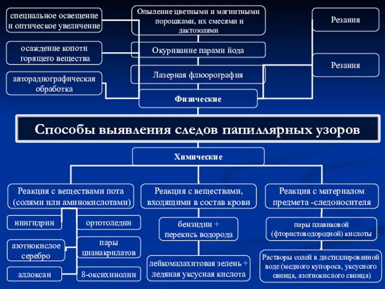 Способы выявления следов папиллярных узоров Реакция с веществами, входящими в состав крови