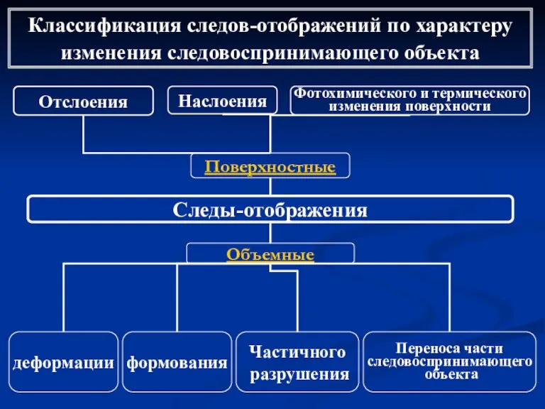 Классификация следов-отображений по характеру изменения следовоспринимающего объекта Следы-отображения Частичного разрушения деформации Отслоения