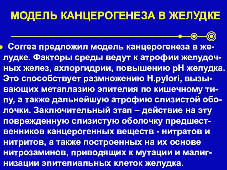 МОДЕЛЬ КАНЦЕРОГЕНЕЗА В ЖЕЛУДКЕ Correa предложил модель канцерогенеза в же-лудке. Факторы среды