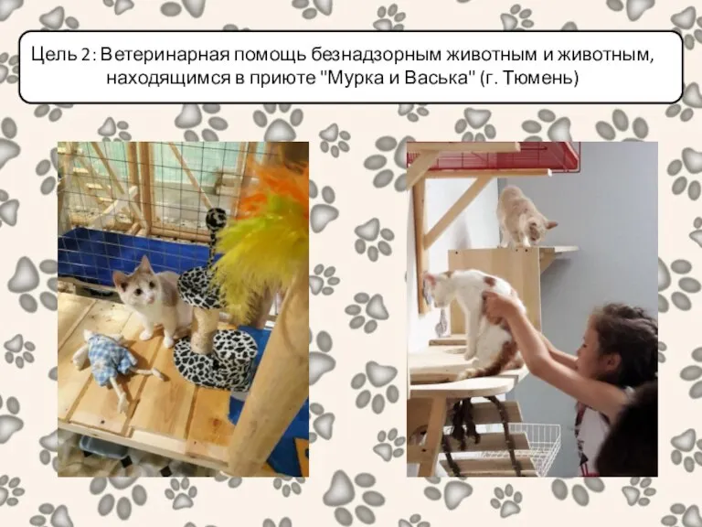 Цель 2: Ветеринарная помощь безнадзорным животным и животным, находящимся в приюте "Мурка и Васька" (г. Тюмень)