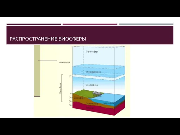 РАСПРОСТРАНЕНИЕ БИОСФЕРЫ