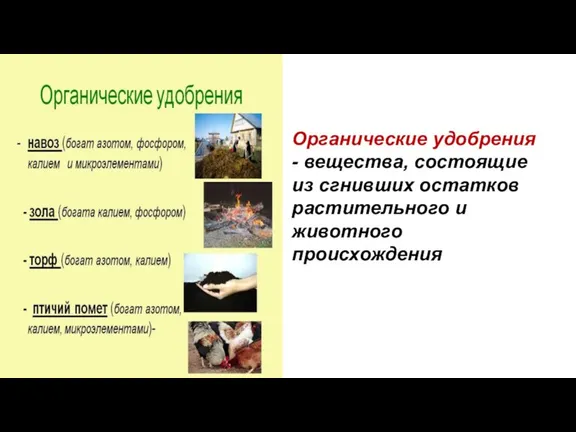 Органические удобрения - вещества, состоящие из сгнивших остатков растительного и животного происхождения